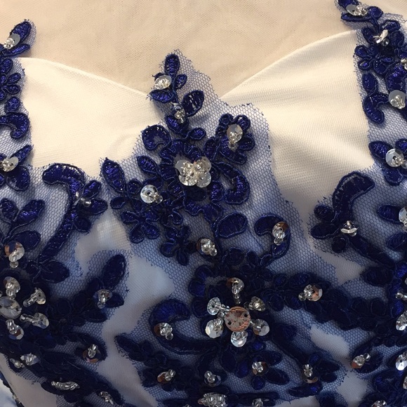 Internationally Designed Unique Item Blue Swan! - Picture 4 of 4